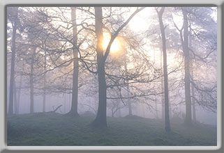 Landscapes